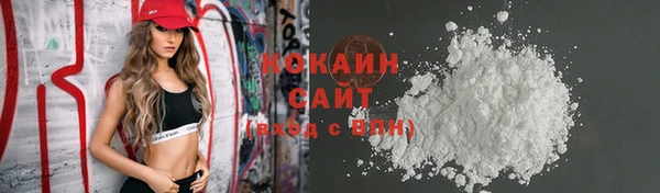 стаф Каменногорск
