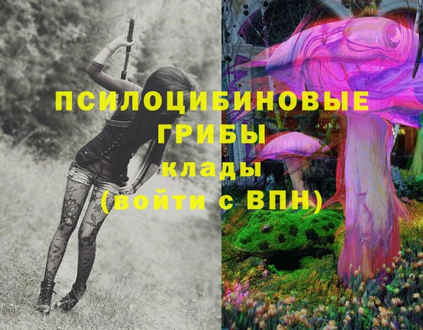 марки lsd Касимов