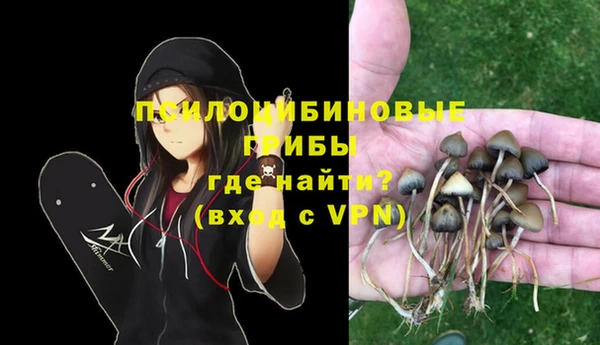 гидропоника Карталы