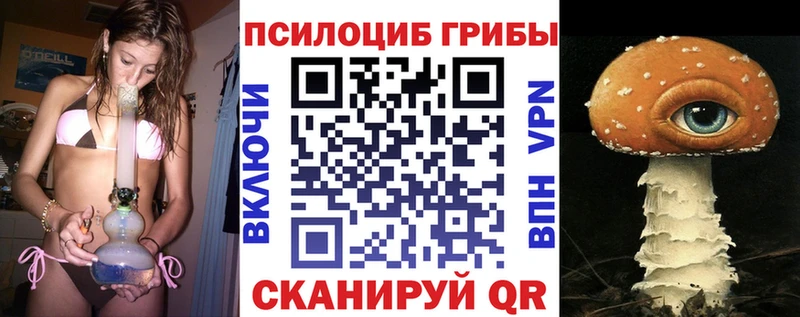 ссылка на мегу маркетплейс  Красавино  Псилоцибиновые грибы мицелий 